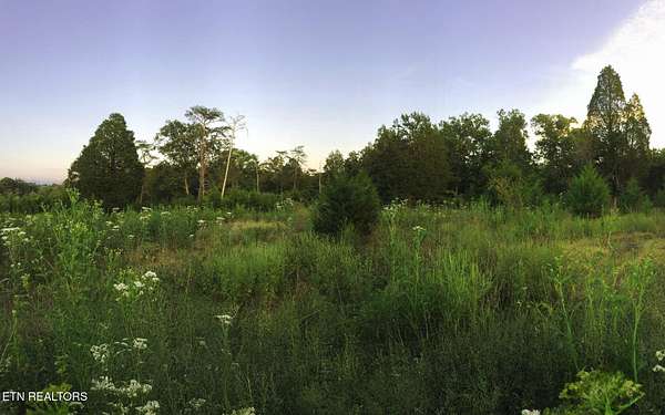 25.2 Acres of Agricultural & Residential Land for Sale in Strawberry Plains, Tennessee