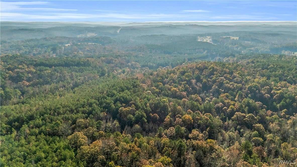 137 Acres of Land for Sale in Vernon, Alabama