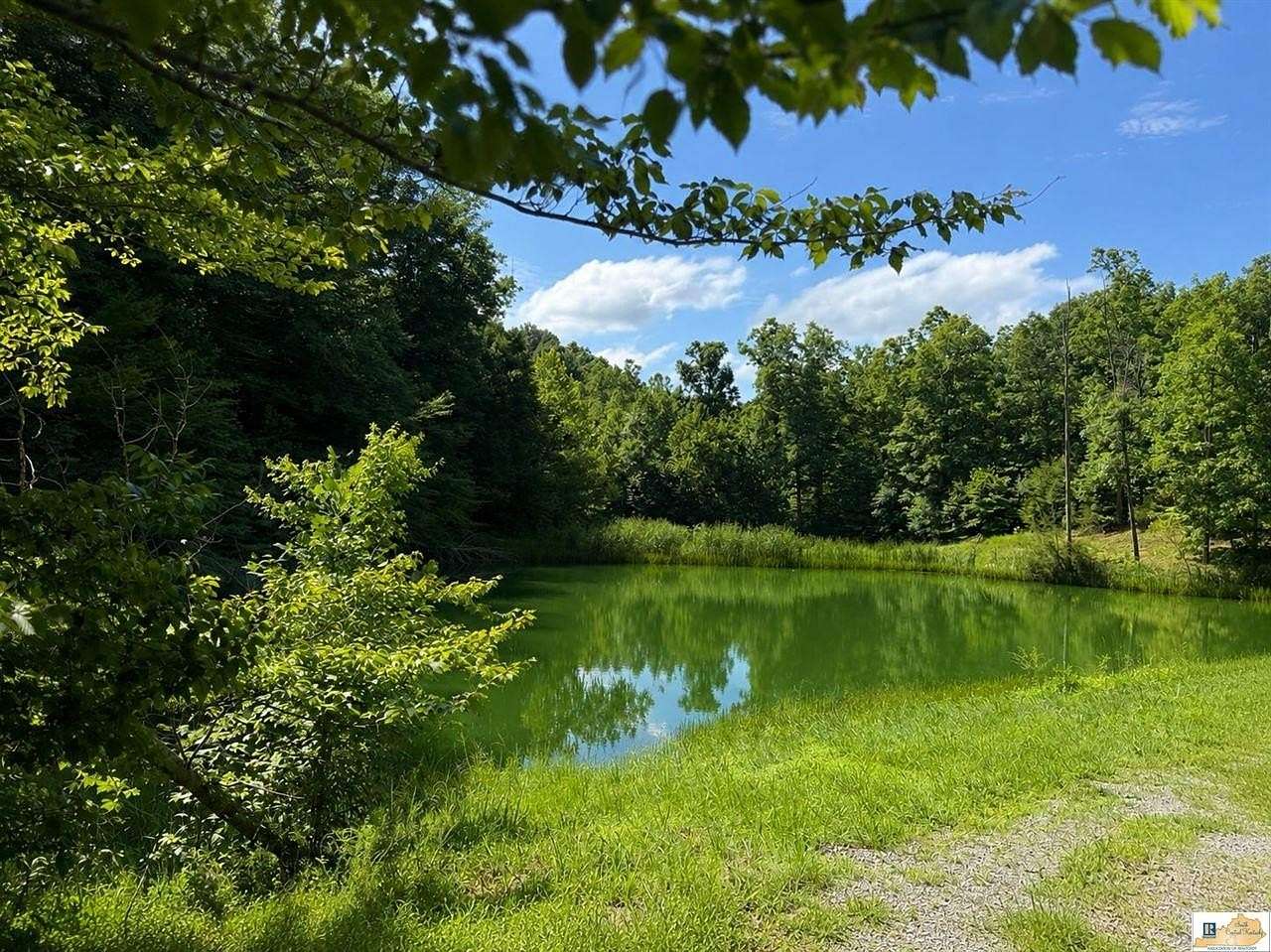 38.9 Acres of Recreational & Residential Land for Sale in Columbia, Kentucky