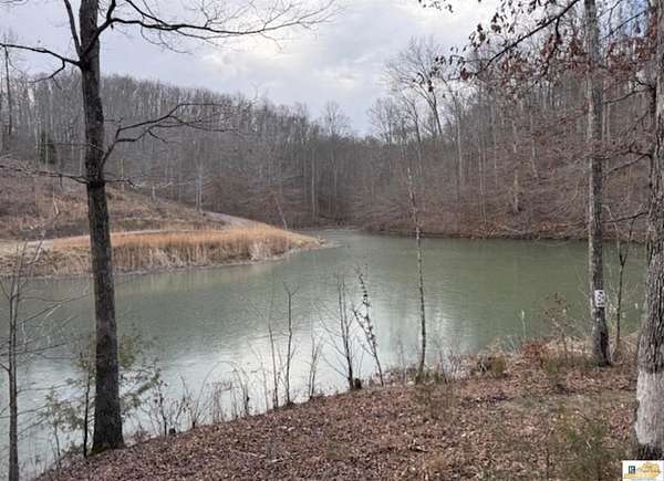 39.4 Acres of Recreational & Residential Land for Sale in Columbia, Kentucky