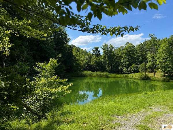 38.9 Acres of Recreational & Residential Land for Sale in Columbia, Kentucky