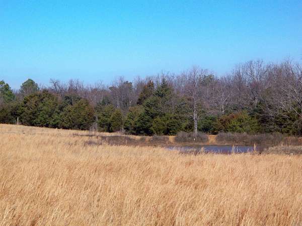 11.3 Acres of Land for Sale in Bradford, Arkansas