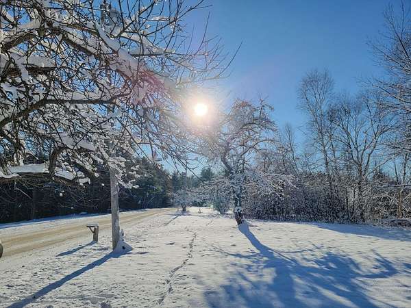 7 Acres of Residential Land for Sale in Eastbrook, Maine