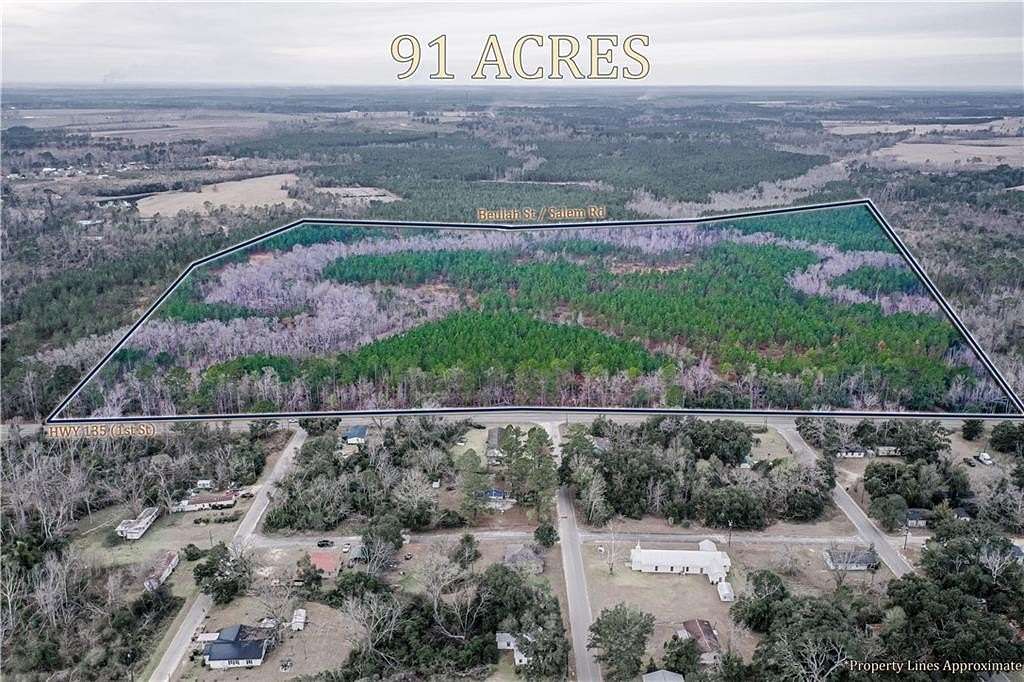 91.8 Acres of Land for Sale in Mount Vernon, Georgia