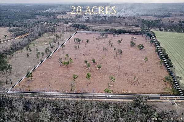 28.5 Acres of Agricultural & Residential Land for Sale in Uvalda, Georgia