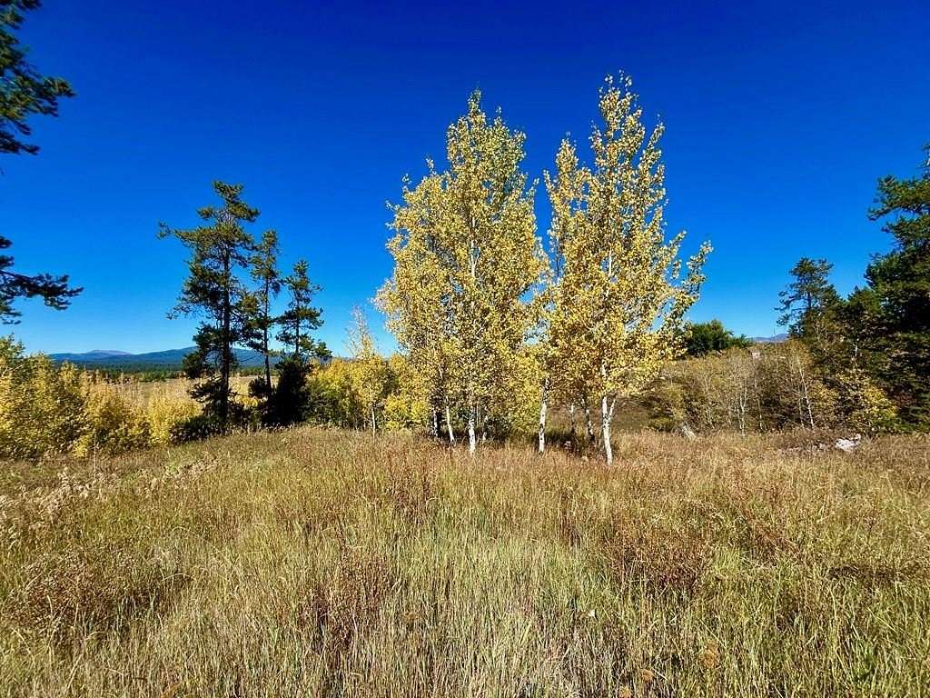 3 Acres of Residential Land for Sale in McCall, Idaho