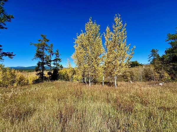 3 Acres of Residential Land for Sale in McCall, Idaho