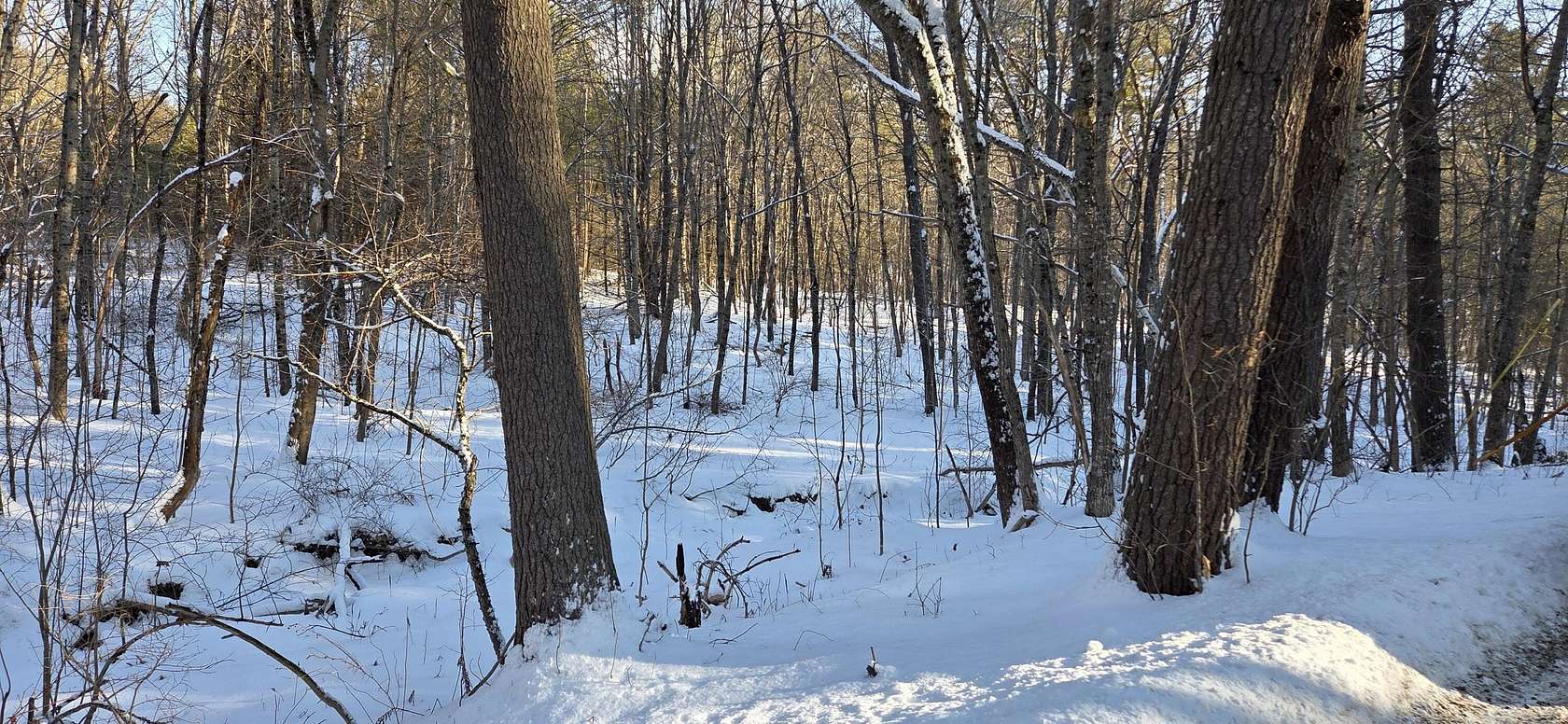 3.6 Acres of Residential Land for Sale in Orrington, Maine