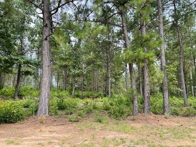 15 Acres of Land for Sale in Jena, Louisiana