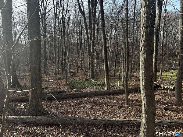 1 Acre of Residential Land for Sale in Danbury, Connecticut