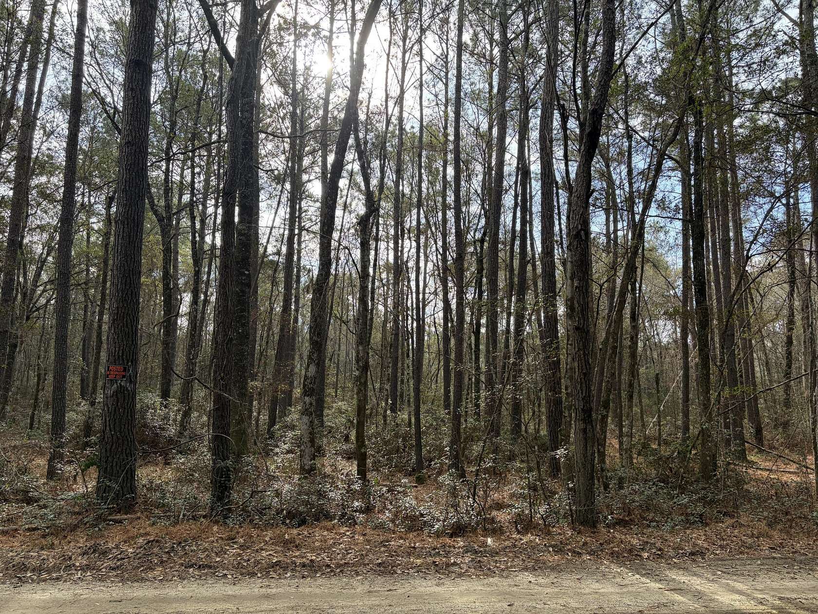 1 Acre of Residential Land for Sale in McClellanville, South Carolina