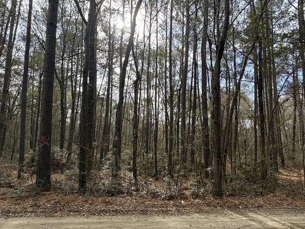 1 Acre of Residential Land for Sale in McClellanville, South Carolina