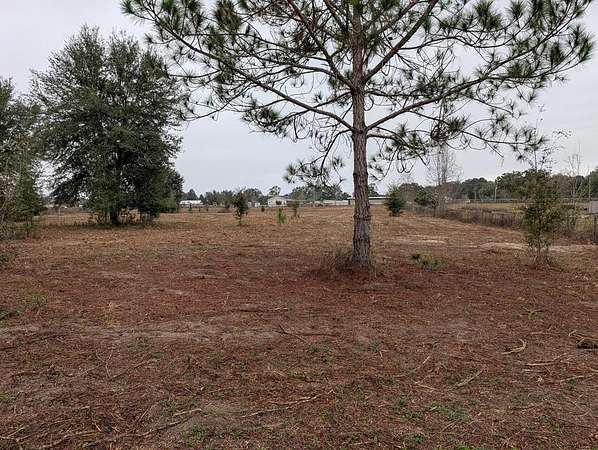 2.38 Acres of Residential Land for Sale in Trenton, Florida