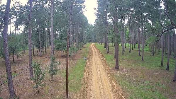 14.8 Acres of Land for Sale in Jena, Louisiana