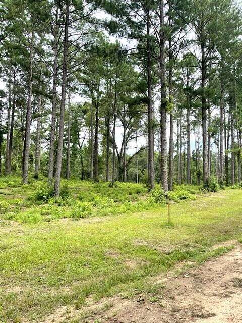 17.6 Acres of Land for Sale in Jena, Louisiana
