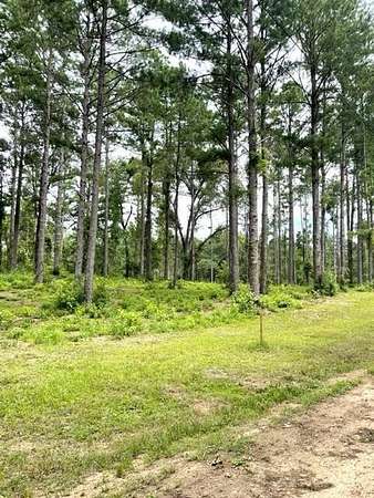 17.6 Acres of Land for Sale in Jena, Louisiana