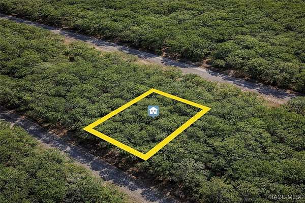 0.35 Acres of Residential Land for Sale in Dunnellon, Florida