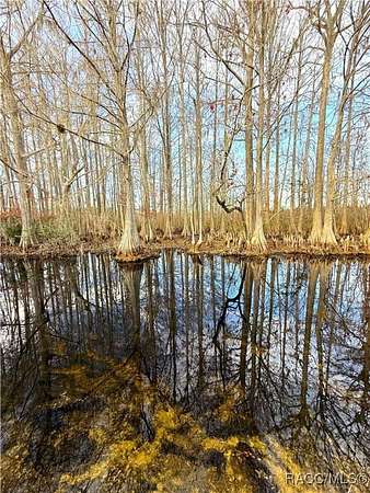 0.83 Acres of Residential Land for Sale in Floral City, Florida