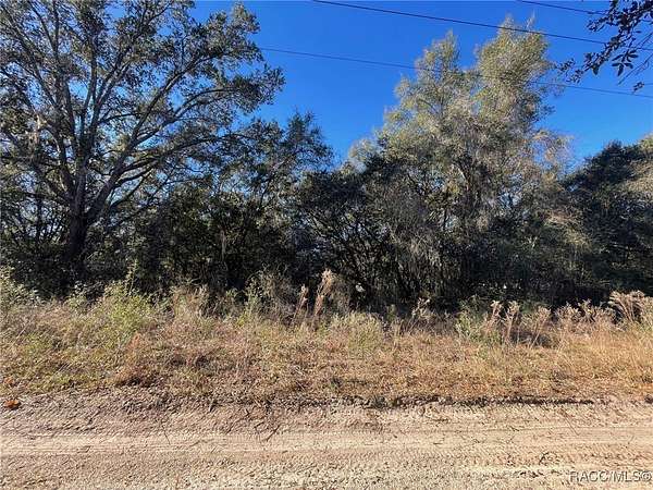 0.35 Acres of Residential Land for Sale in Inverness, Florida