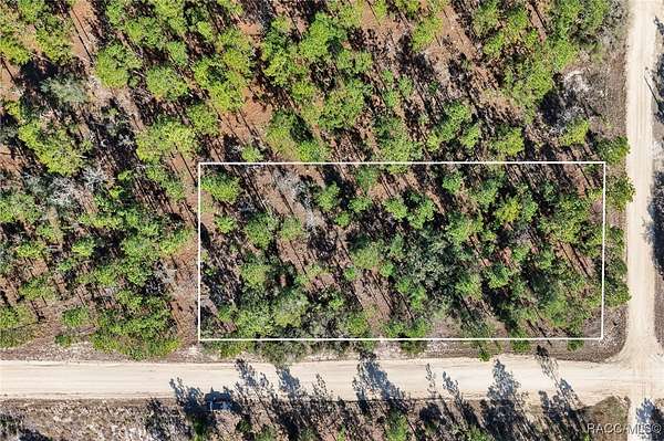 1.25 Acres of Residential Land for Sale in Williston, Florida
