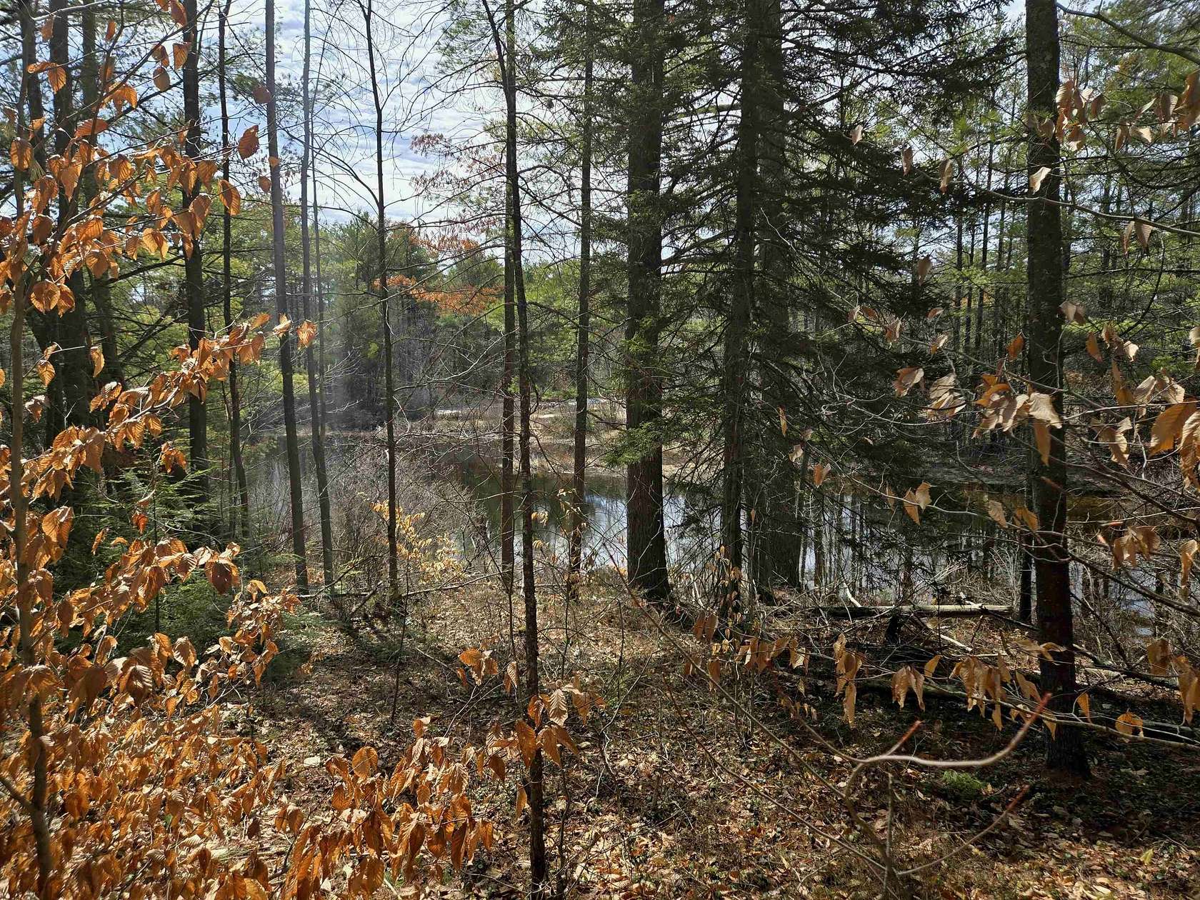 4.1 Acres of Land for Sale in Ossipee, New Hampshire