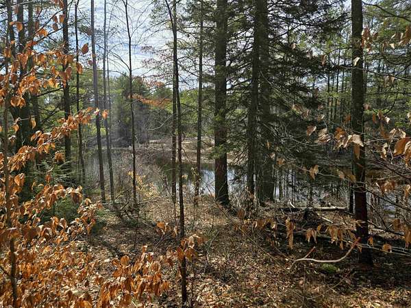 4.1 Acres of Land for Sale in Ossipee, New Hampshire