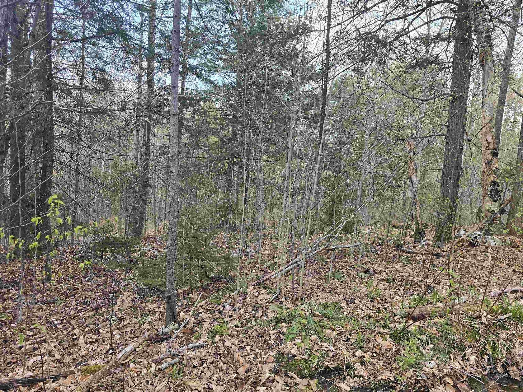 16.2 Acres of Land for Sale in Chester, Vermont