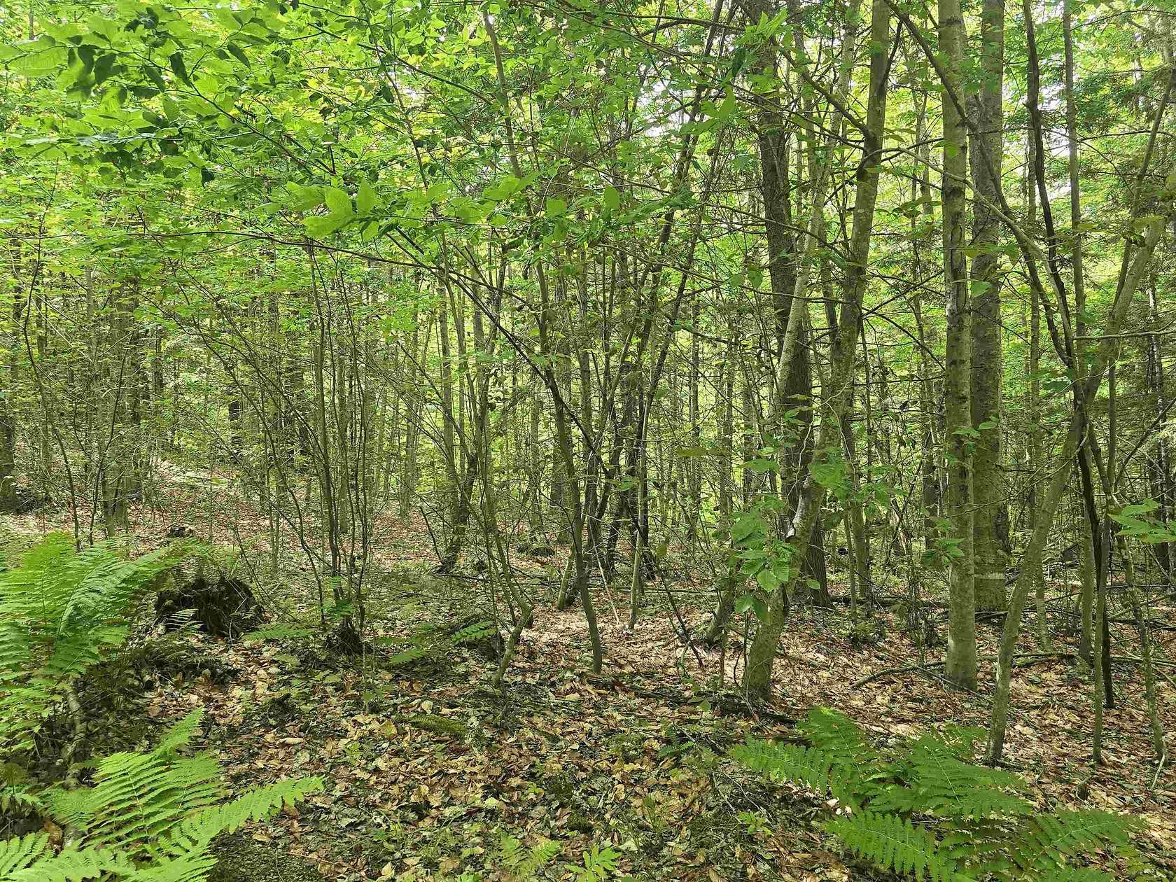 16.2 Acres of Land for Sale in Chester, Vermont