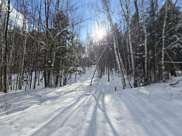 16.2 Acres of Land for Sale in Chester, Vermont