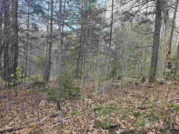 16.2 Acres of Land for Sale in Chester, Vermont