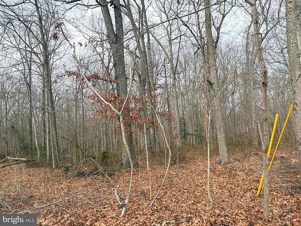 0.11 Acres of Residential Land for Sale in Shady Side, Maryland