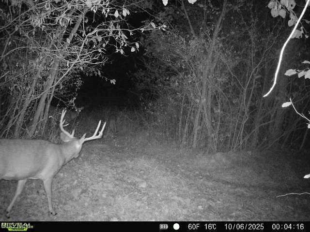 51 Acres of Recreational Land for Sale in Warsaw, Ohio