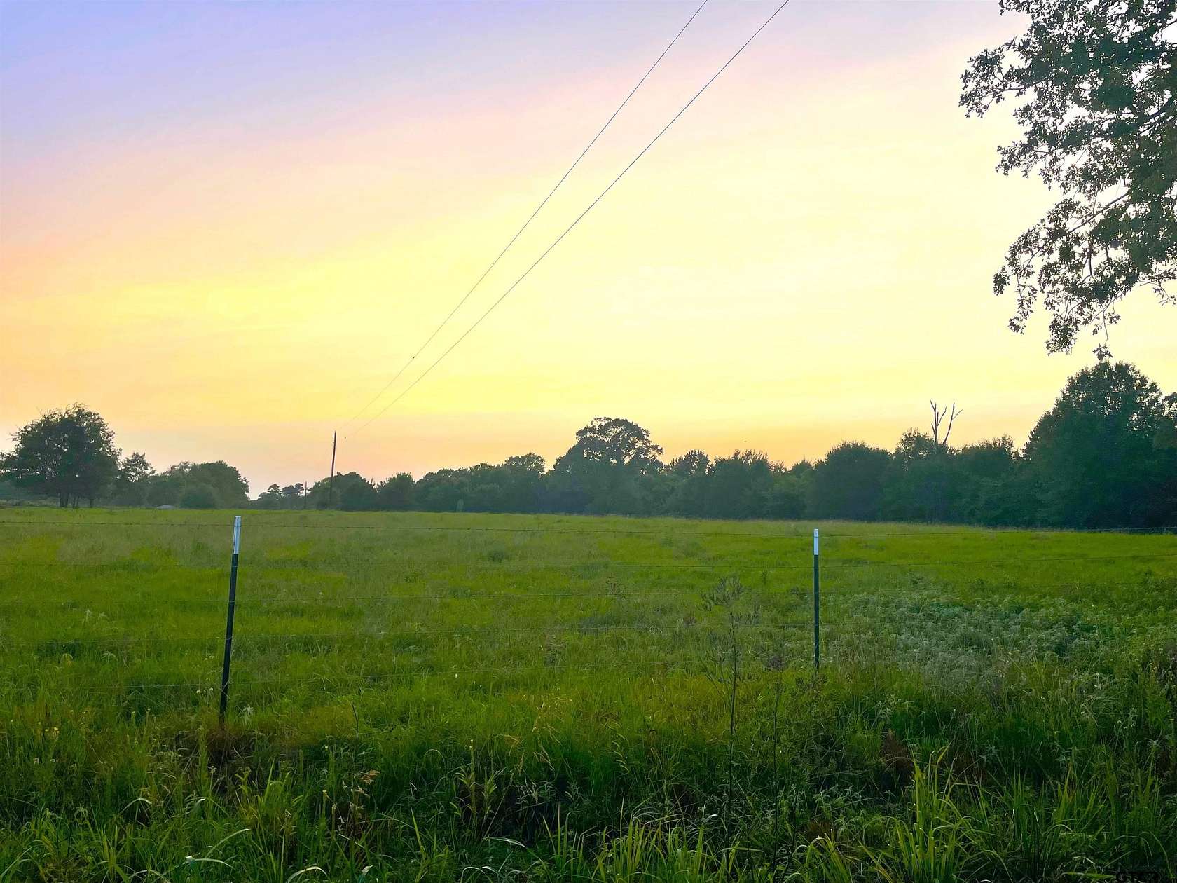 10 Acres of Land for Sale in Avery, Texas