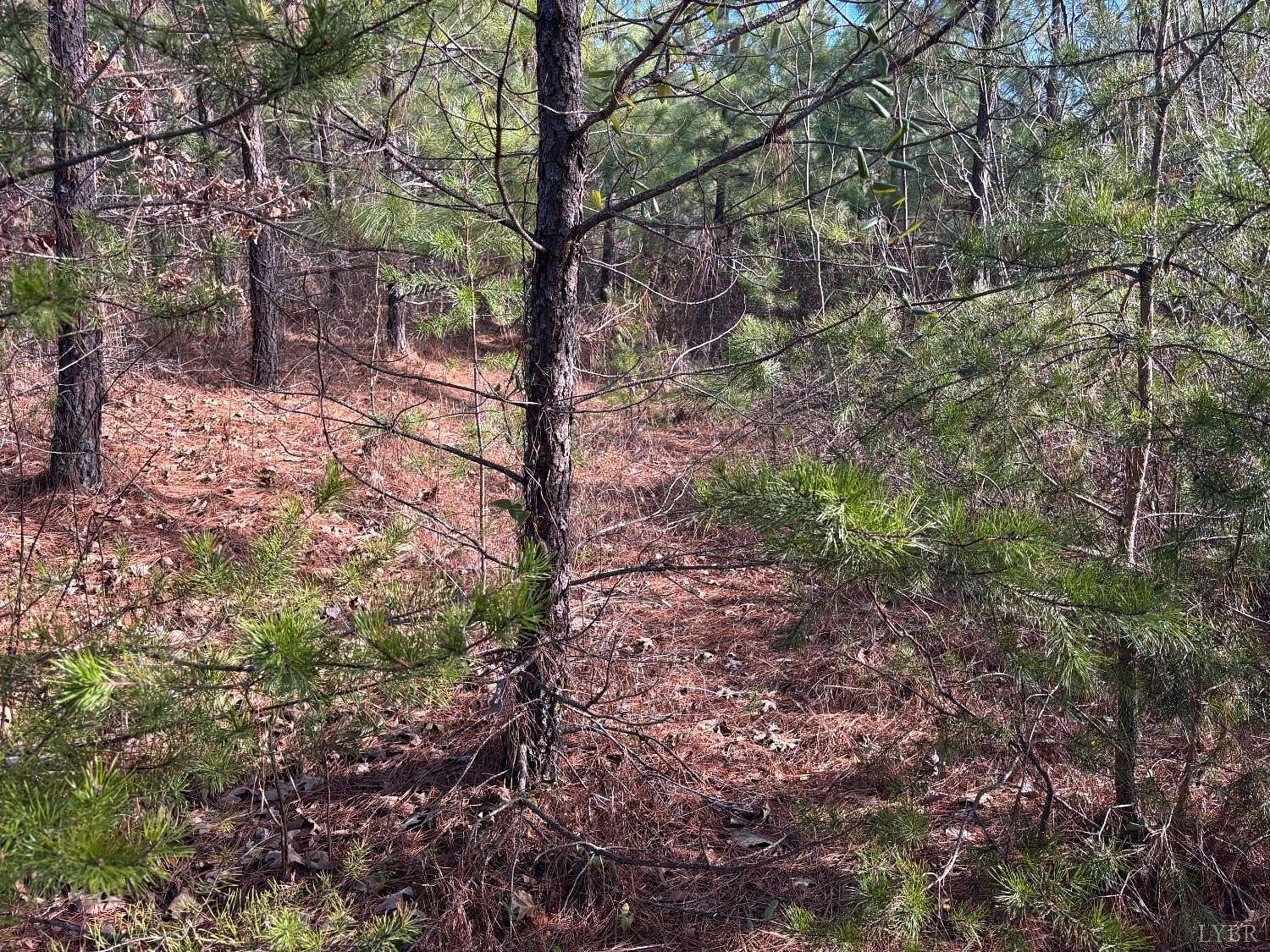 20 Acres of Recreational Land for Sale in Long Island, Virginia