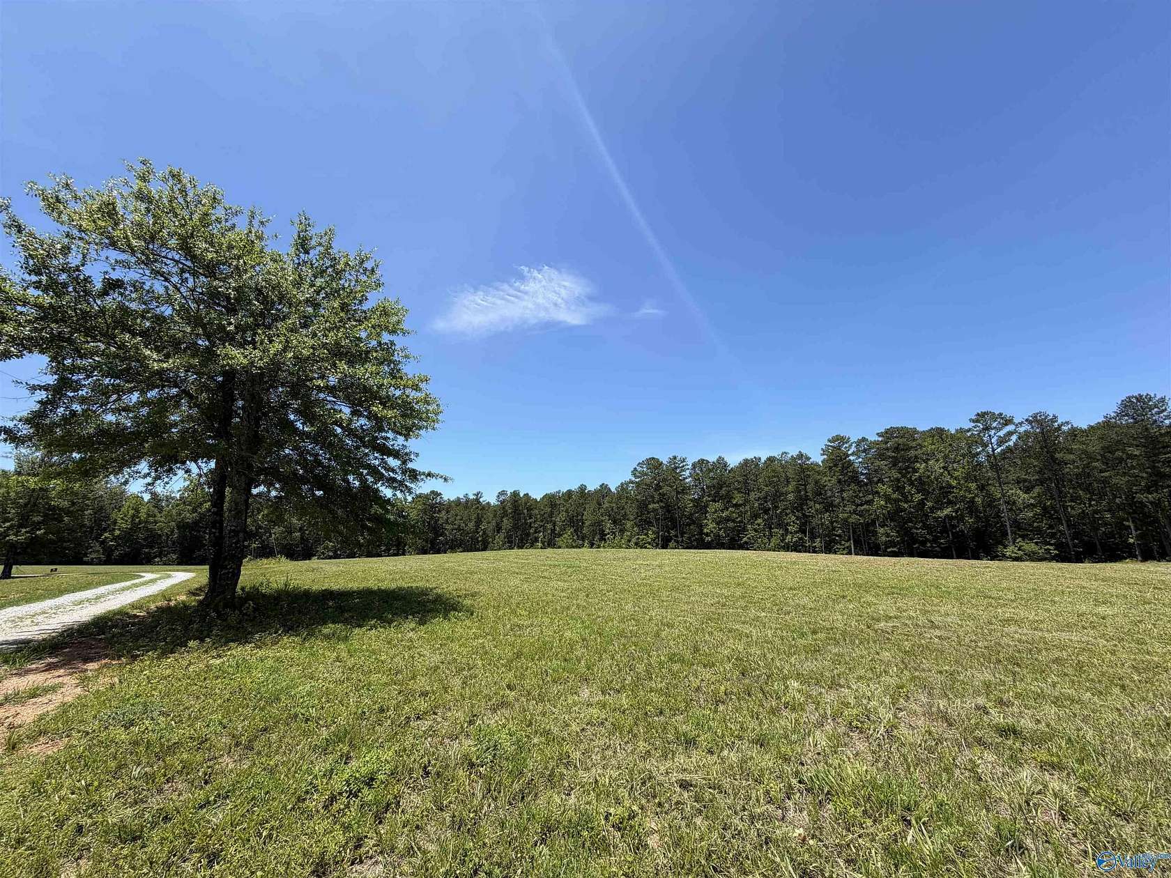 3 Acres of Land for Sale in Jacksonville, Alabama