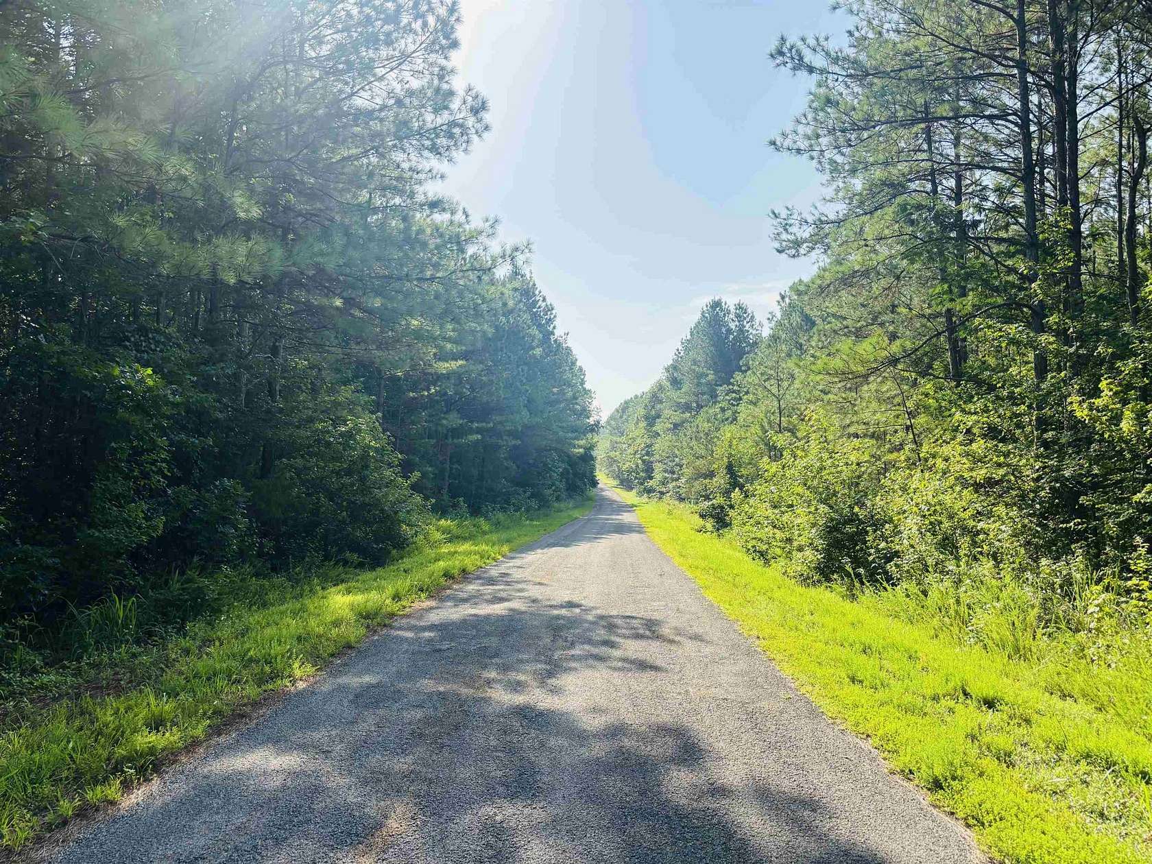 22.8 Acres of Recreational Land for Sale in Reagan, Tennessee