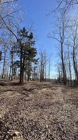 1.5 Acres of Residential Land for Sale in Linden, Tennessee