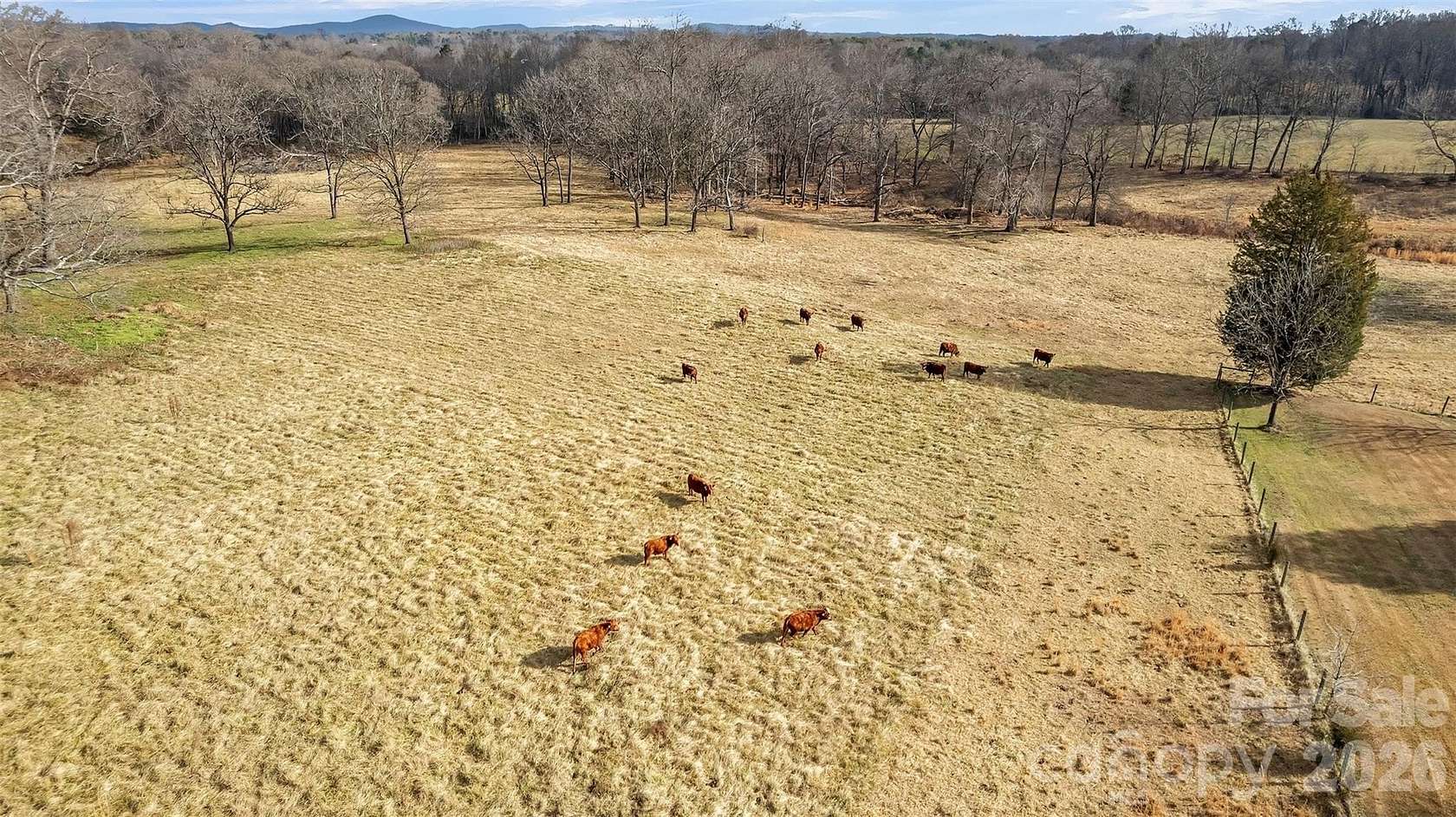 22 Acres of Agricultural Land for Sale in Taylorsville, North Carolina