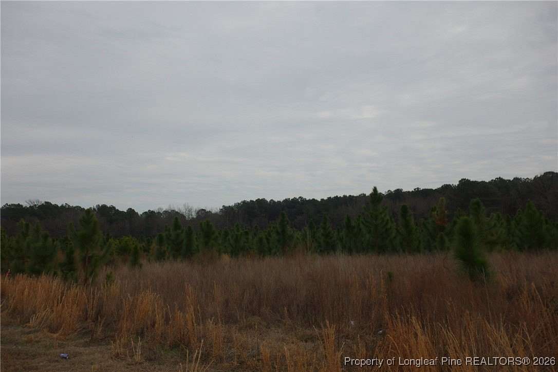 1 Acre of Residential Land for Sale in Fairmont, North Carolina