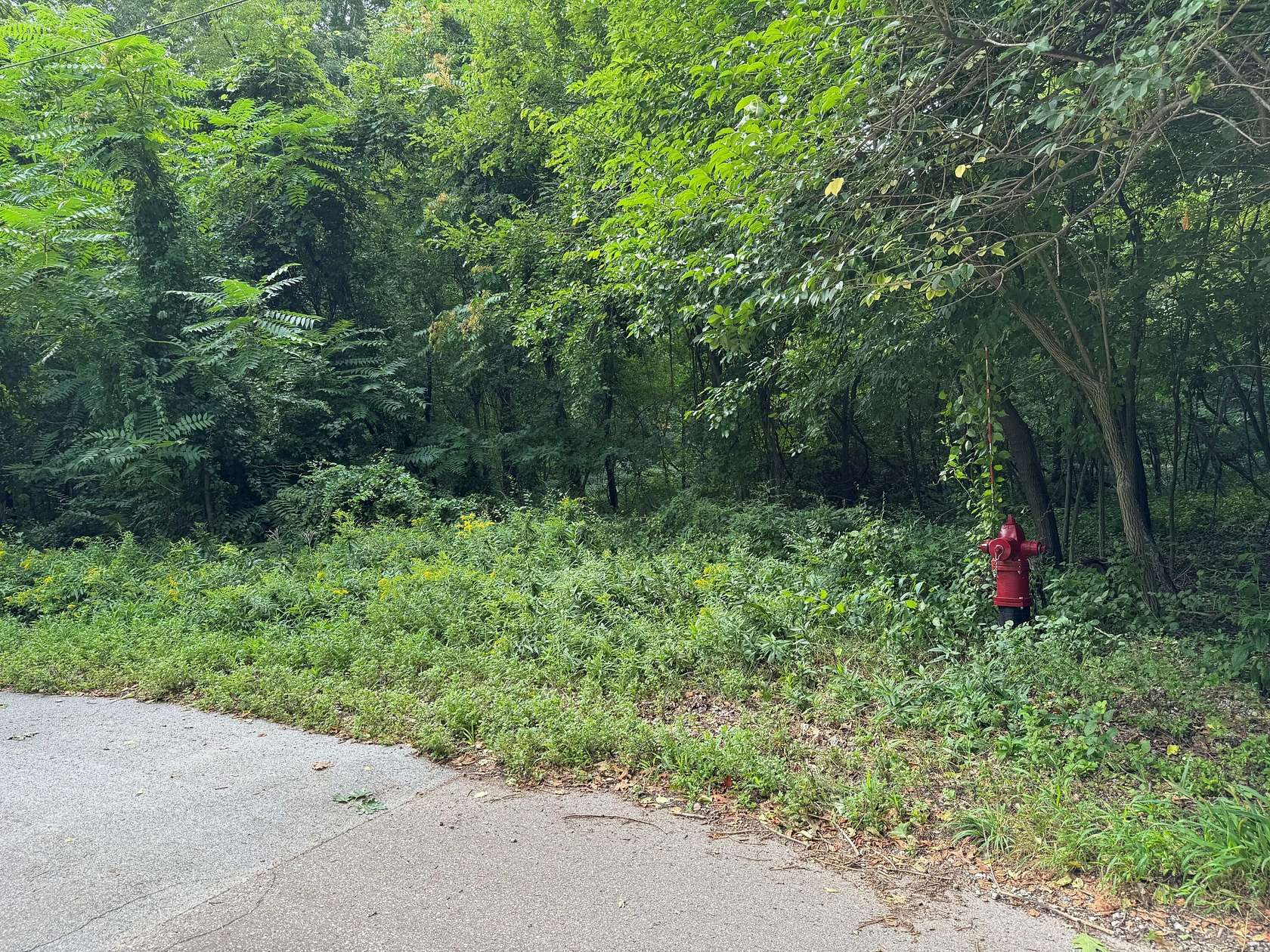 0.22 Acres of Land for Sale in Michiana, Michigan