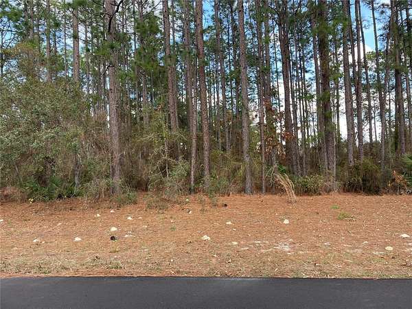 0.24 Acres of Residential Land for Sale in Ocala, Florida