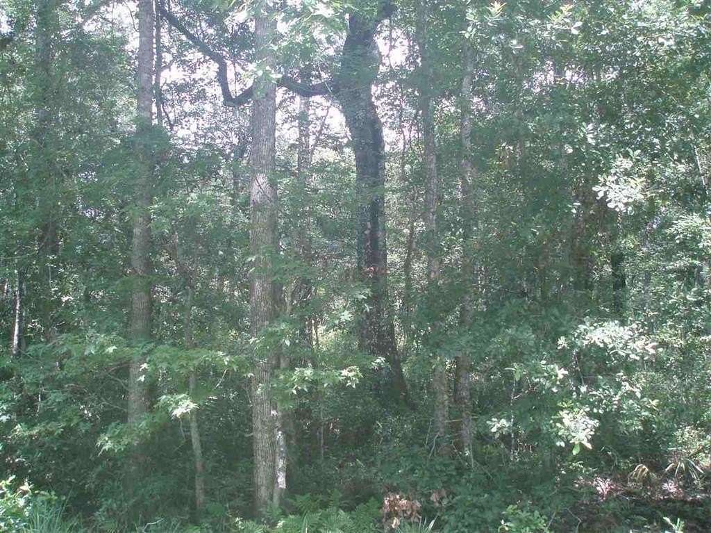 1.14 Acres of Residential Land for Sale in Hastings, Florida