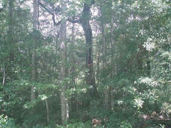 1.14 Acres of Residential Land for Sale in Hastings, Florida