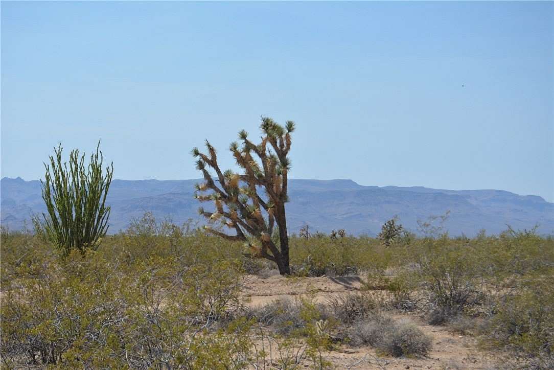 4.2 Acres of Residential Land for Sale in Yucca, Arizona
