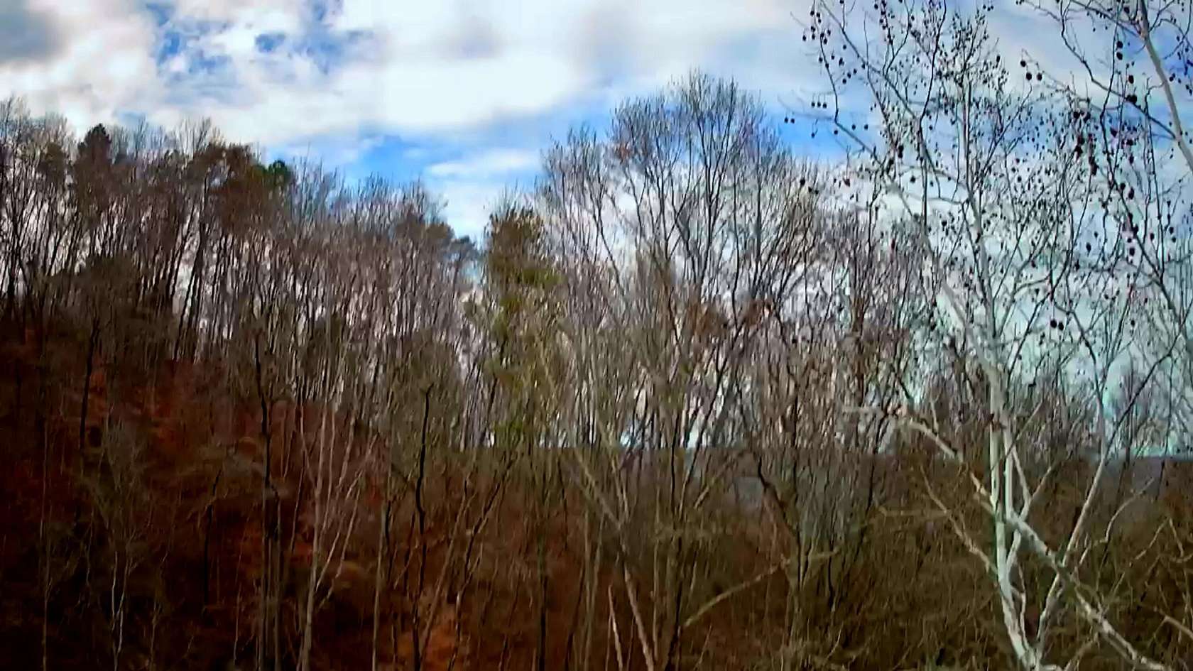 1.29 Acres of Land for Sale in Soddy-Daisy, Tennessee