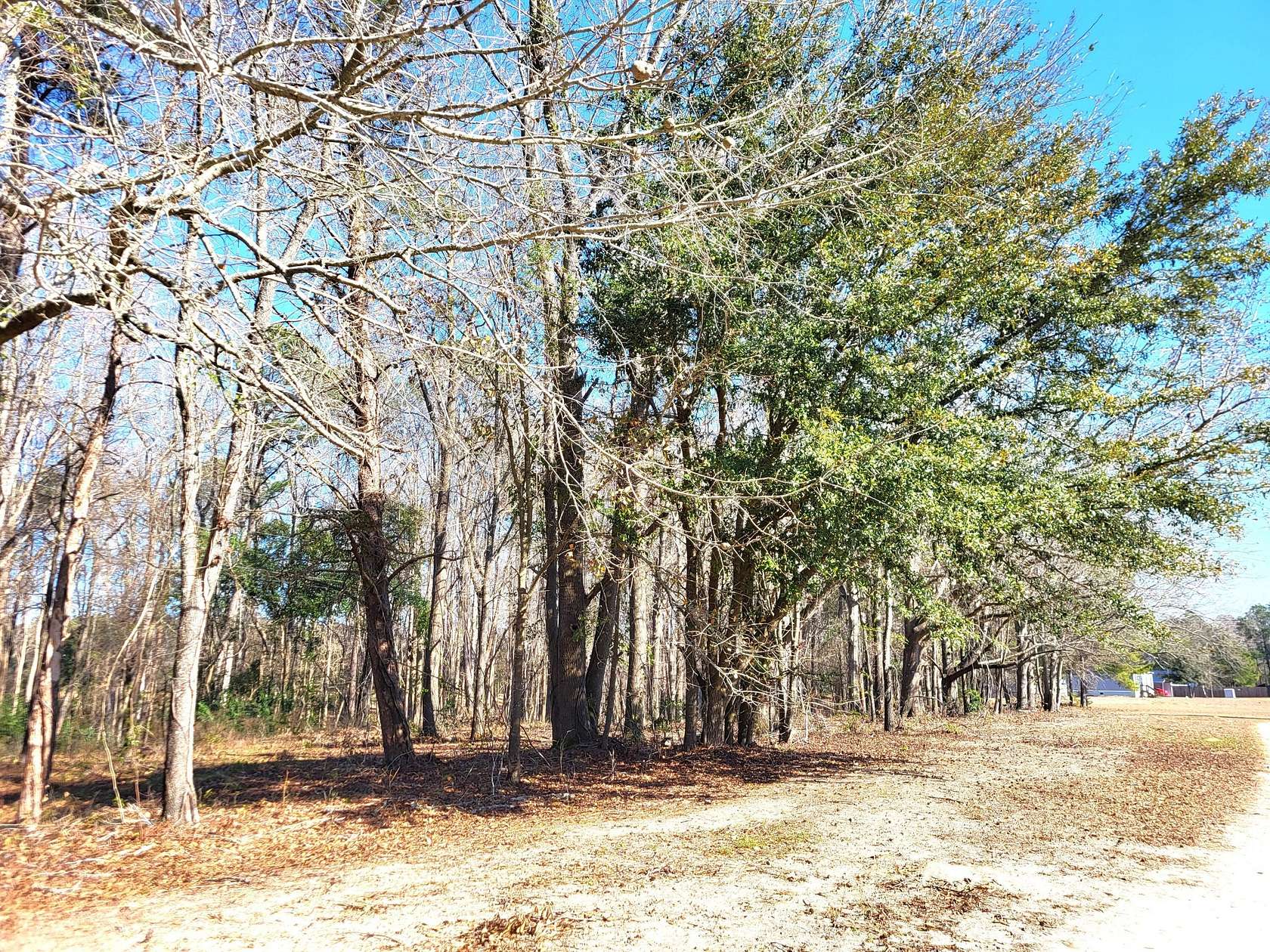 2.12 Acres of Residential Land for Sale in Santee, South Carolina