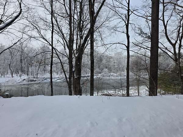 0.51 Acres of Residential Land for Sale in Newaygo, Michigan