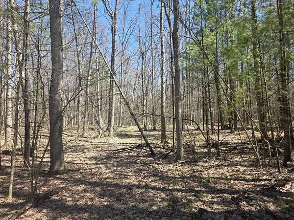 0.51 Acres of Residential Land for Sale in Newaygo, Michigan