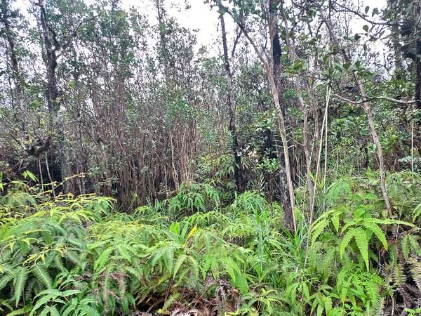 2 Acres of Residential Land for Sale in Mountain View, Hawaii