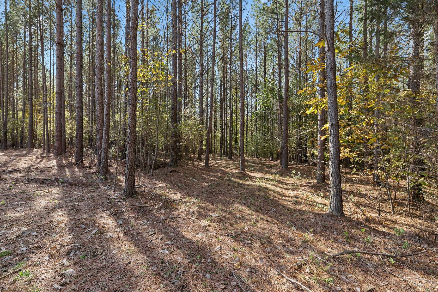 7 Acres of Residential Land for Sale in Shady Grove, Tennessee